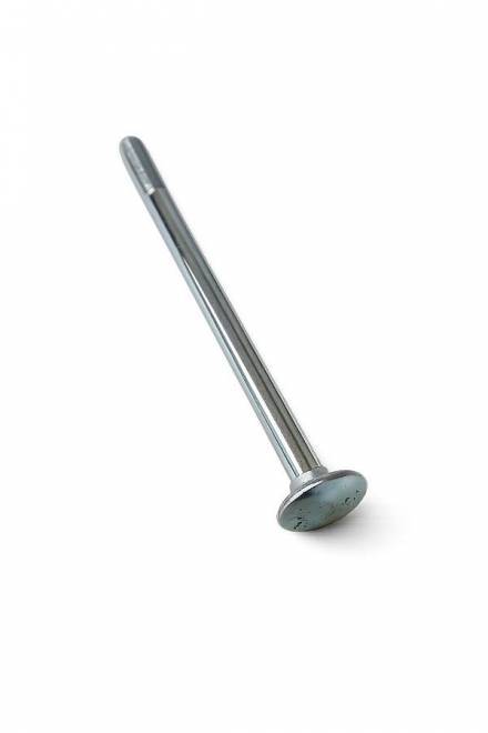 Śruba zamkowa 10x100 ocynk tw.8,8 DIN603 - 1kg